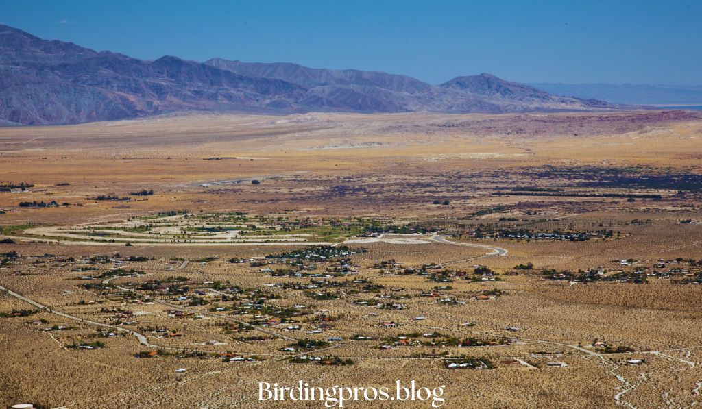 Anza-Borrego Desert State Park