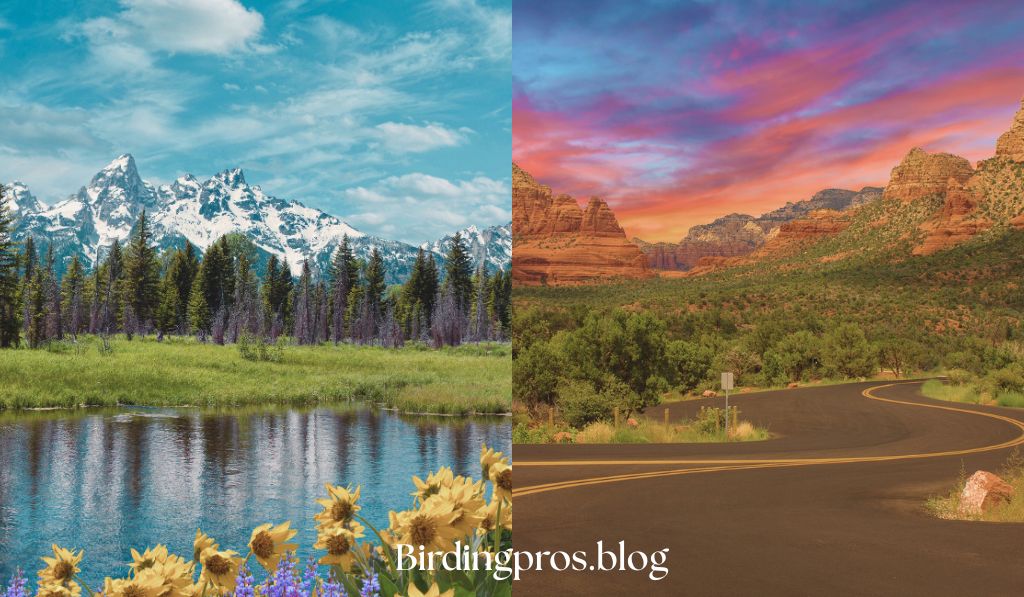Arizona: Ecological Diversity