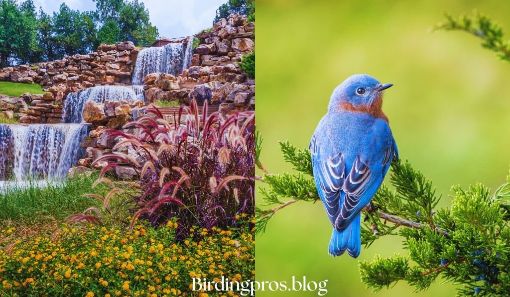 Bird-Attracting Plants