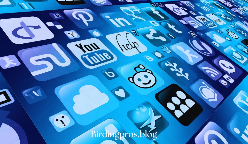 Bird Identification Apps