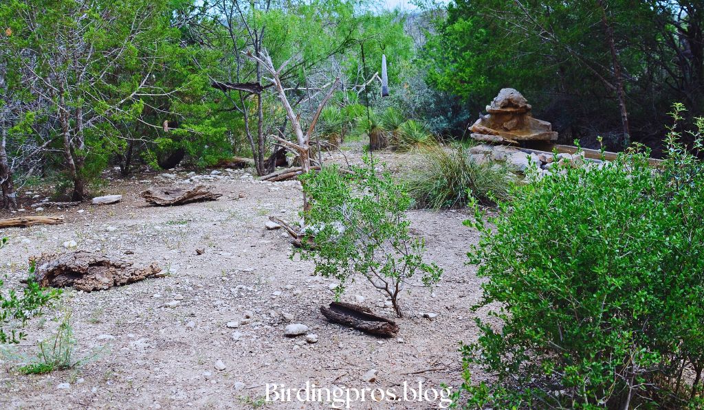 Bird Stations