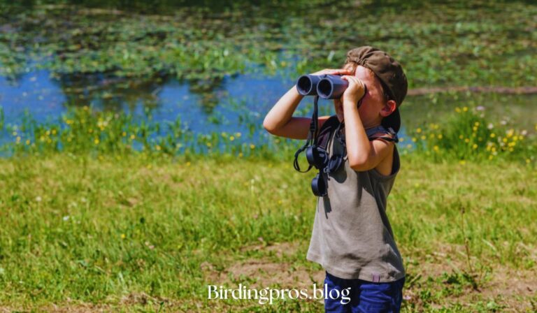 Bird Watching Equipment- binoculars
