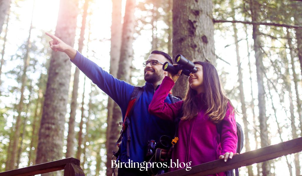 Bird Watching Equipment