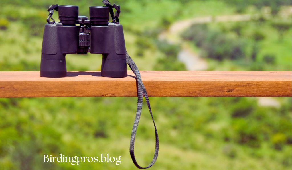 Guide to Essential Equipment for Bird Watching Enthusiasts