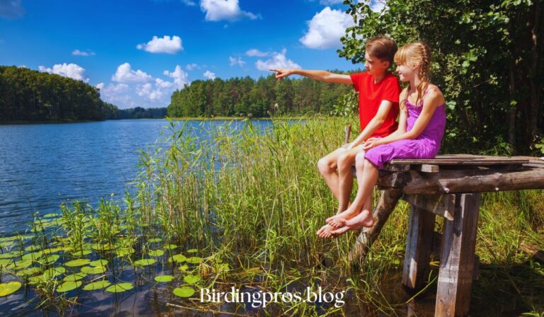 Birdwatching for Kids
