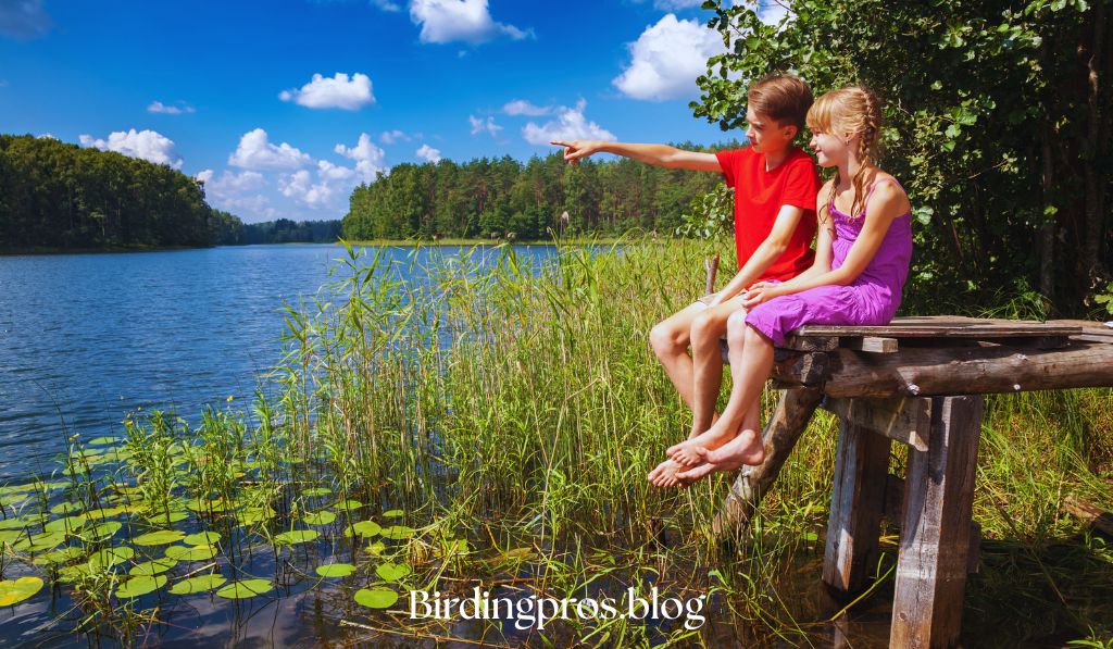 Birdwatching for Kids