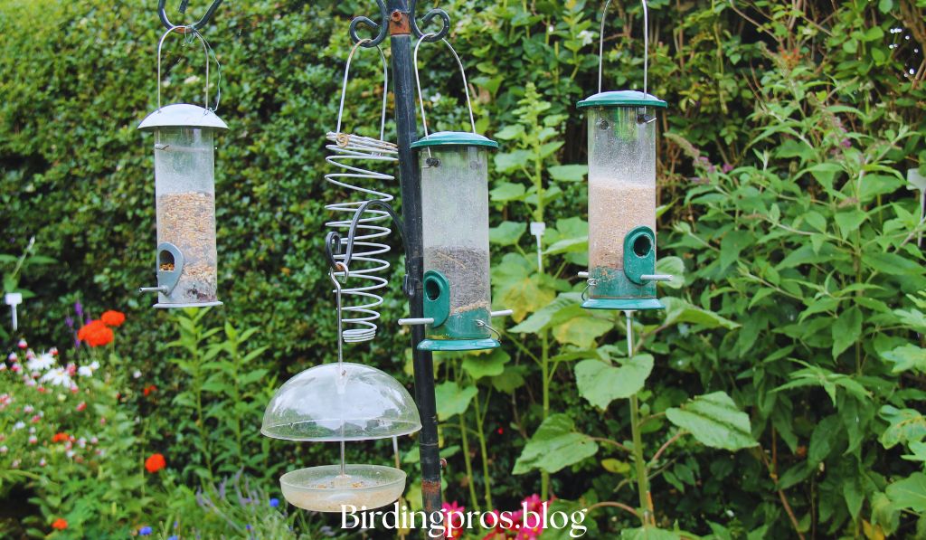 Decorative Platform Feeders