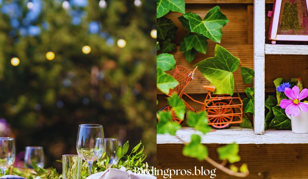 Garden Decor