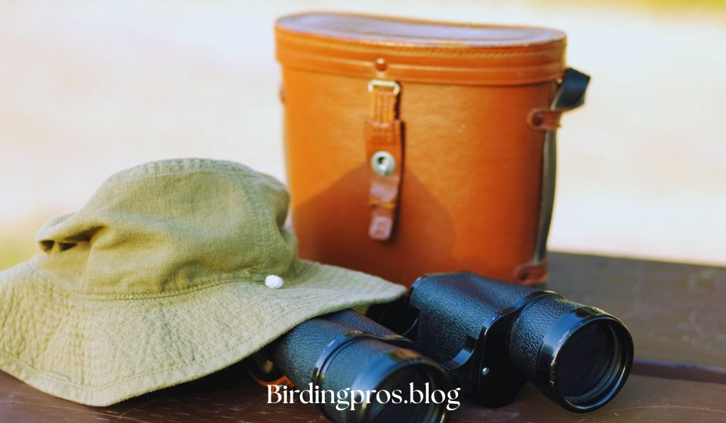 Gear for birdwatching