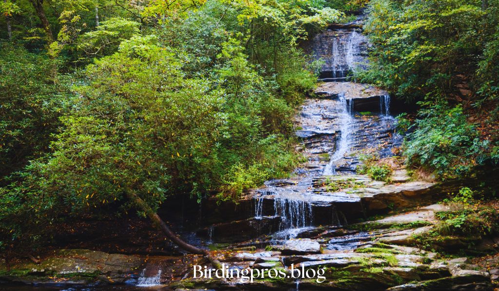 Great Smoky Mountains National Park, Tennessee/North Carolina: Highland Grandeur