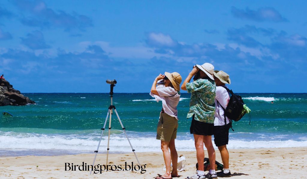 Joining the Community of Birdwatchers