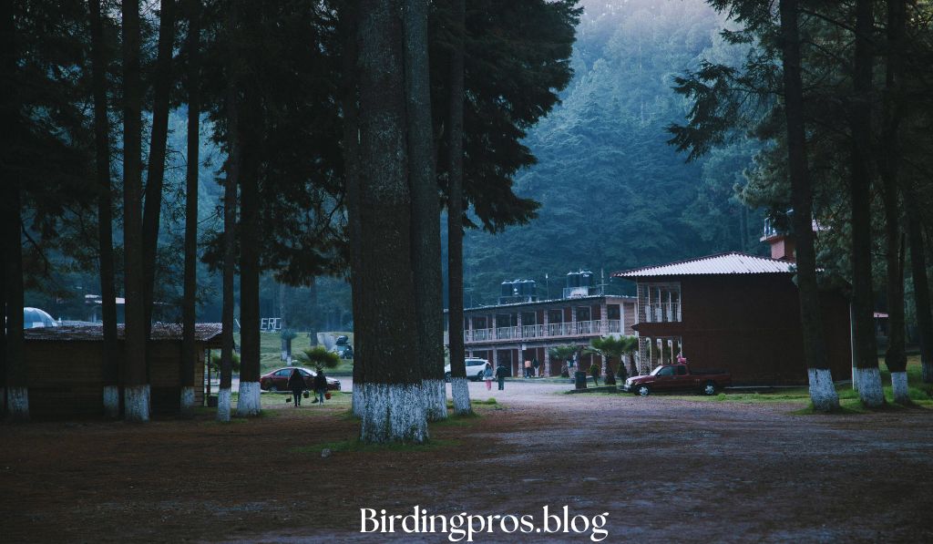 Los Quetzales Lodge, Cerro Punta