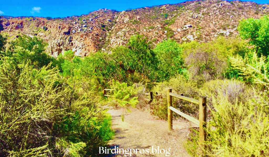 Mission Trails Regional Park