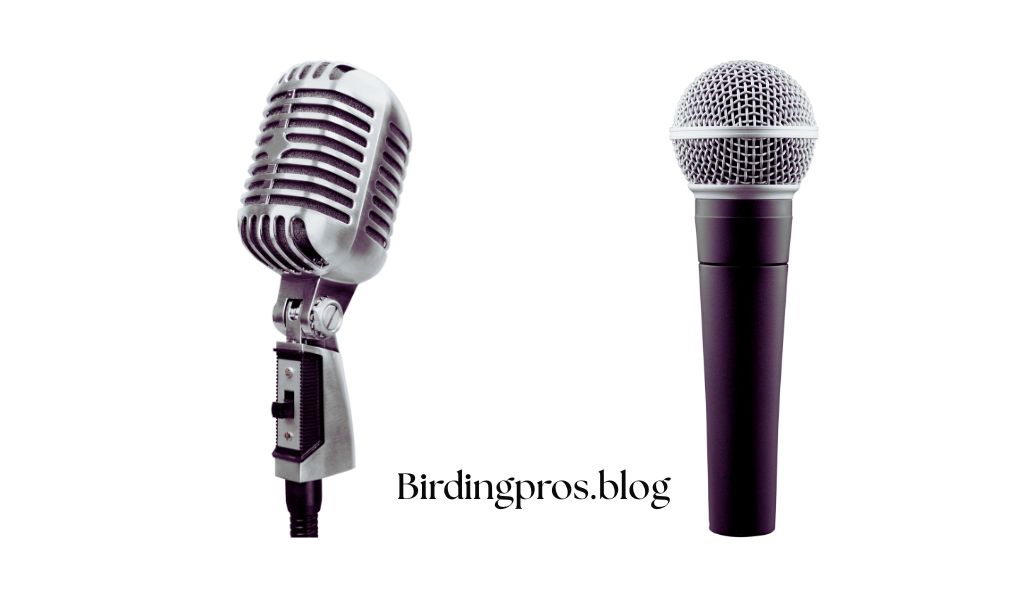 Parabolic Microphones