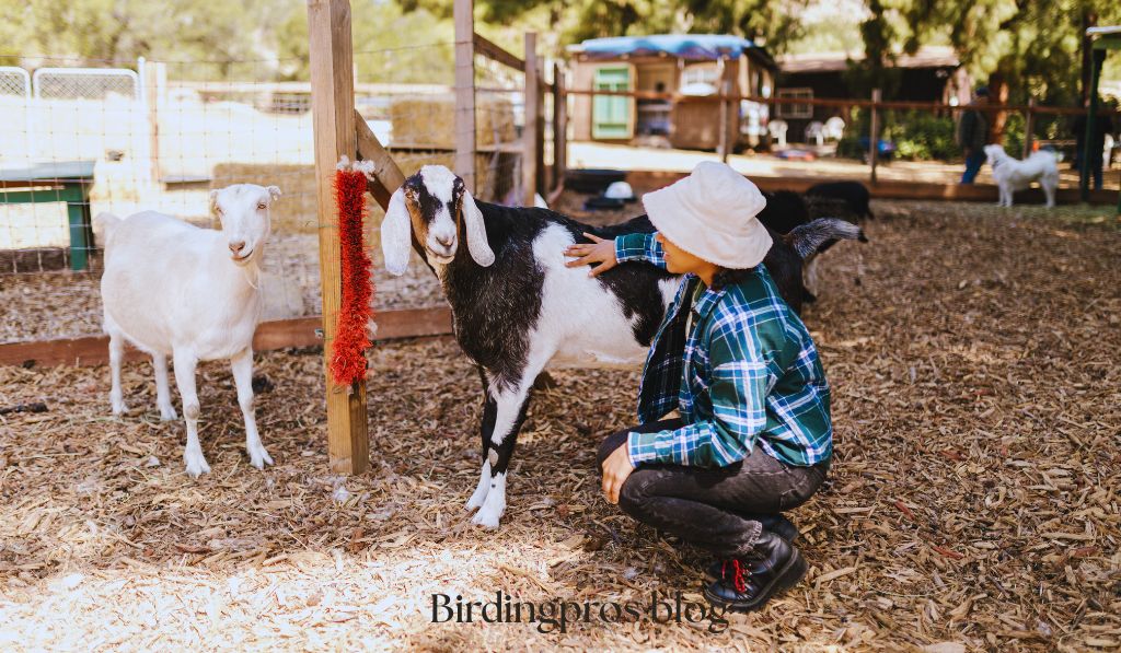 Safeguarding Domestic Animals and Livestock