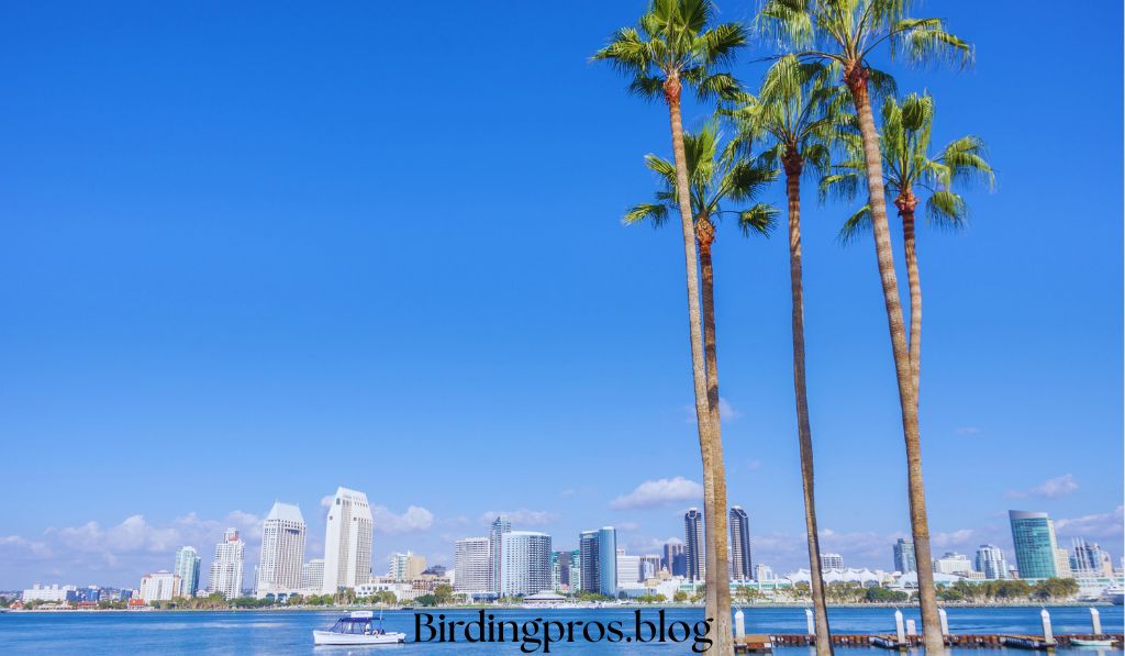 San Diego Bay National Wildlife Refuge