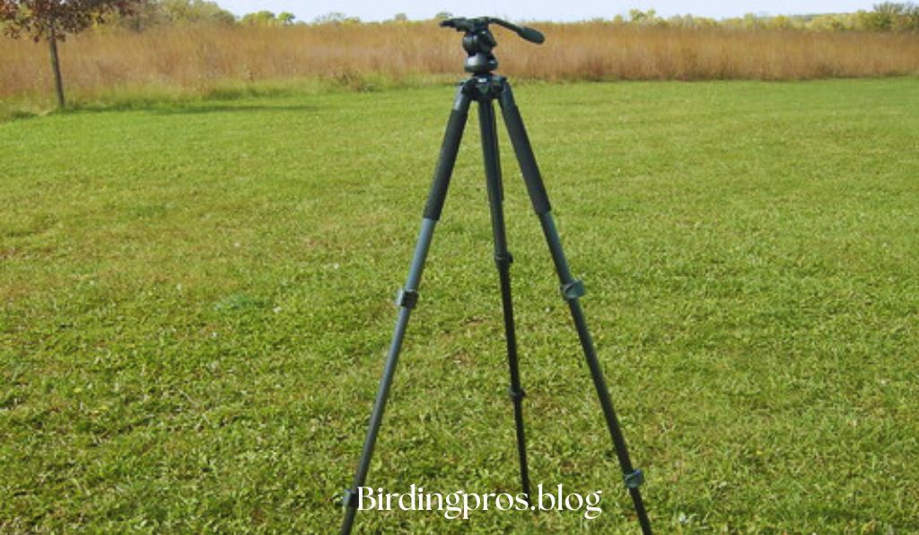 Swarovski CT Travel Carbon Fiber Tripod Kit