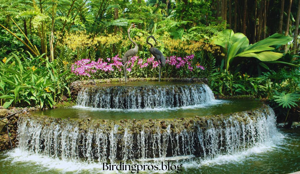 Water Features