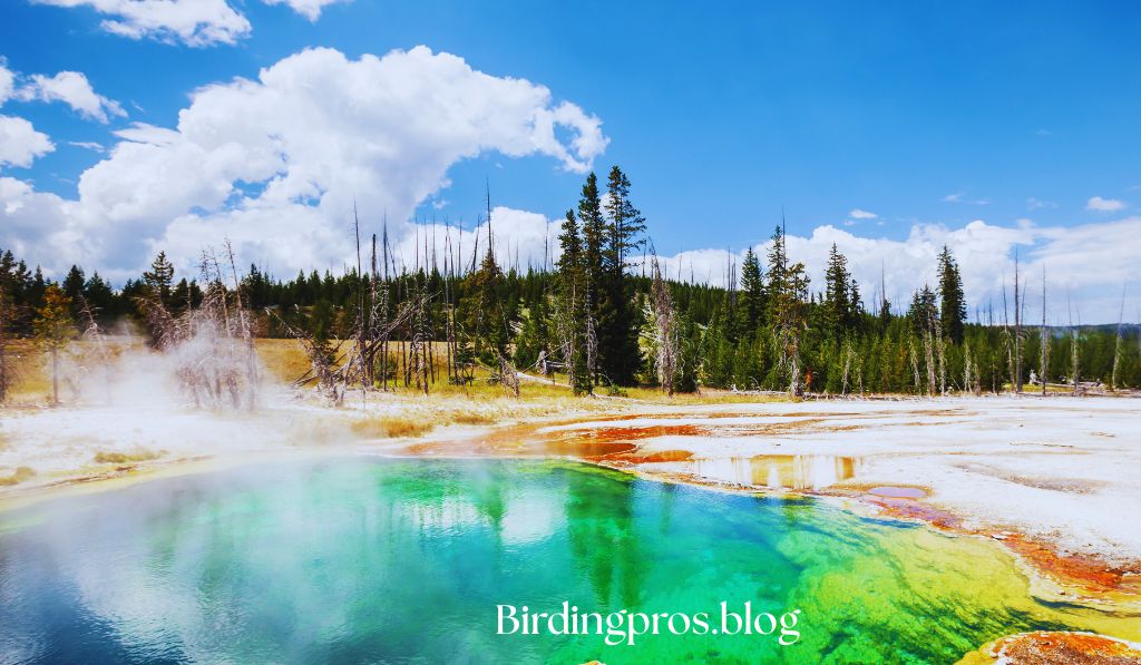 Yellowstone Lake