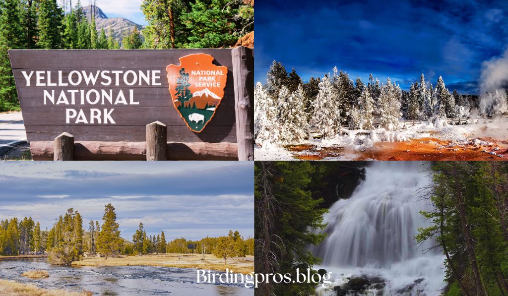 Yellowstone National Park, Wyoming, Montana, Idaho: Legendary Wilderness