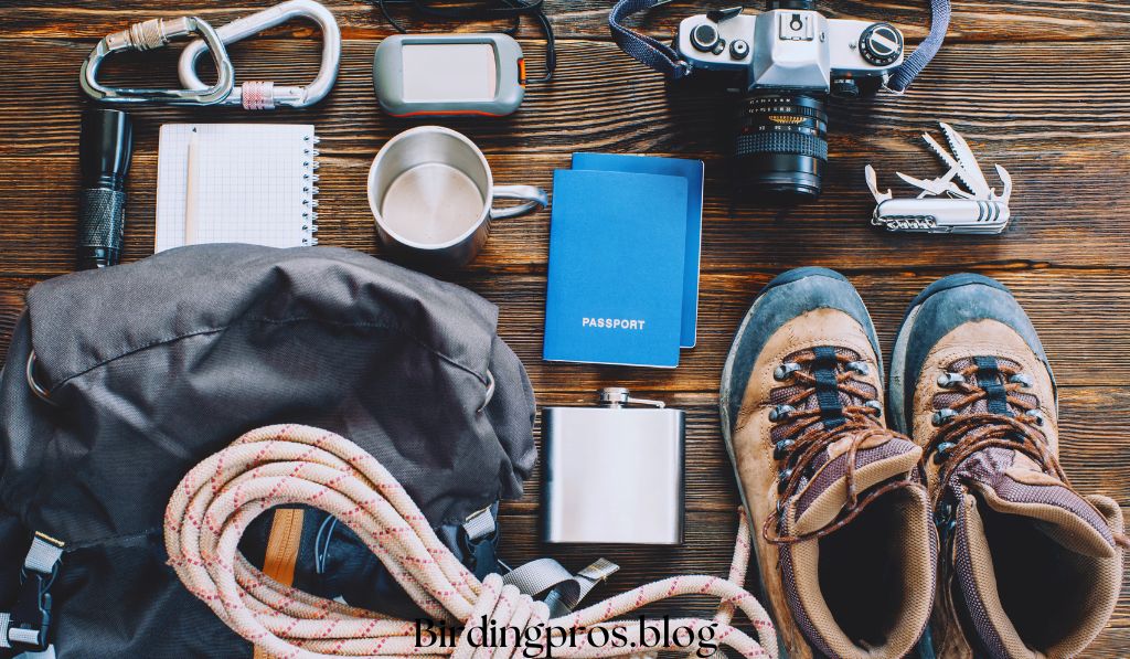 Essential Gear for Your Birding Adventures