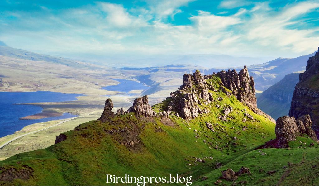 Mountains and Highlands Birds of the Heights