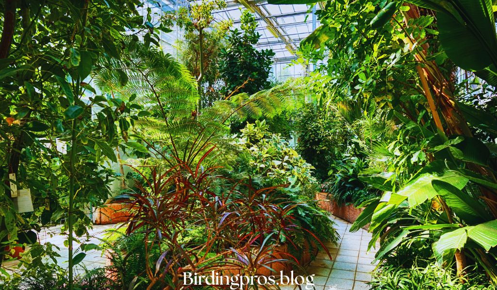 Native Plants for Your Bird Garden